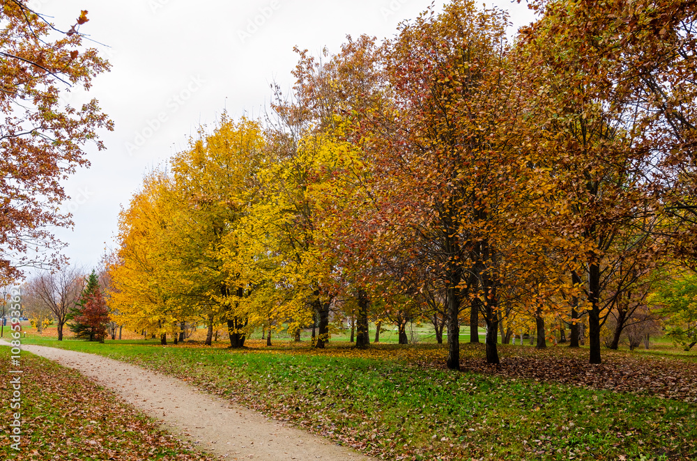 Autumn park path surrounded by colorful trees. A quiet dirt path winds through a park adorned with vibrant yellow and orange leaves. taken at eye level, the essence of fall in a serene natural setting Autumn park path surrounded by colorful trees. A quiet dirt path winds through a park adorned with vibrant yellow and orange leaves. taken at eye level, the essence of fall in a serene natural setting