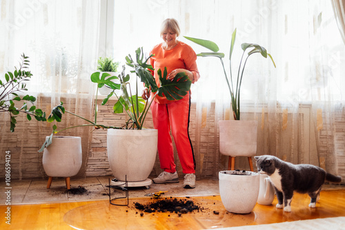 Elderly woman in orange casual clothes takes care of houseplant. Smiling pensioner transplants monstera into bigger pot at home. Middle-aged lady is engaged in her favorite hobby. photo