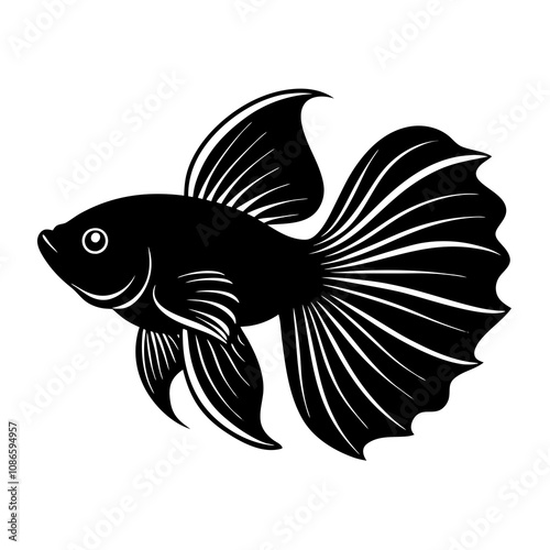 illustration of a betta fish