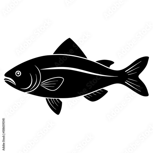 halibut fish on a white background