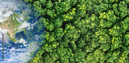 Fototapeta Naklejka Na Ścianę i Meble -  Green forest tree merged earth globe. Global ecosystem conservation and environmental protection during climate crisis. Worldwide biodiversity. Sustainable environment. Earth image provided by Nasa.