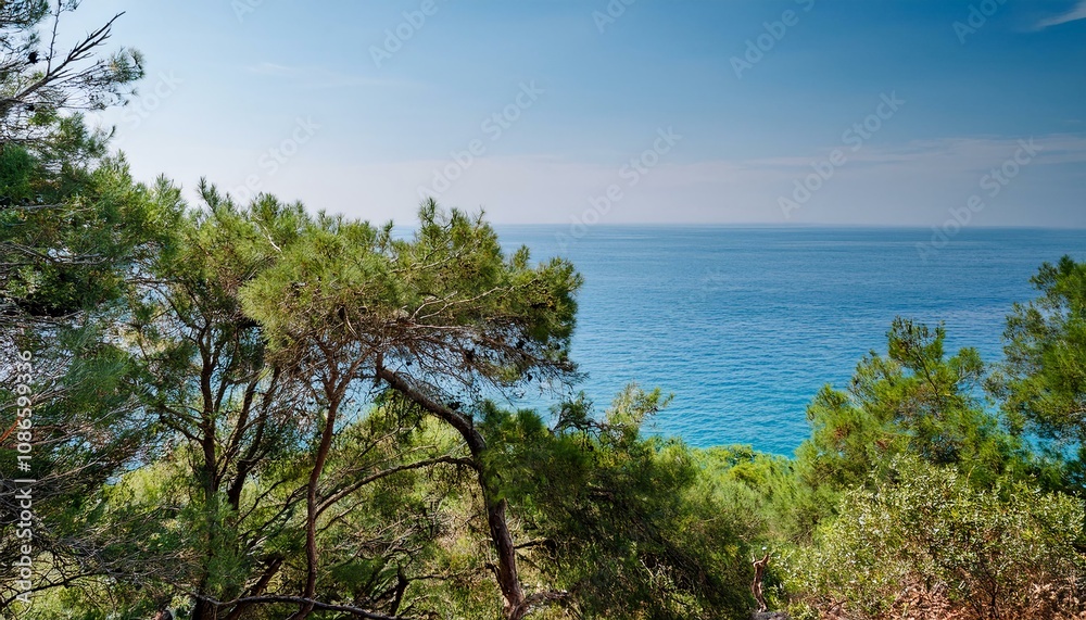 pine tree on the shore of lake pine tree on the shore of lake