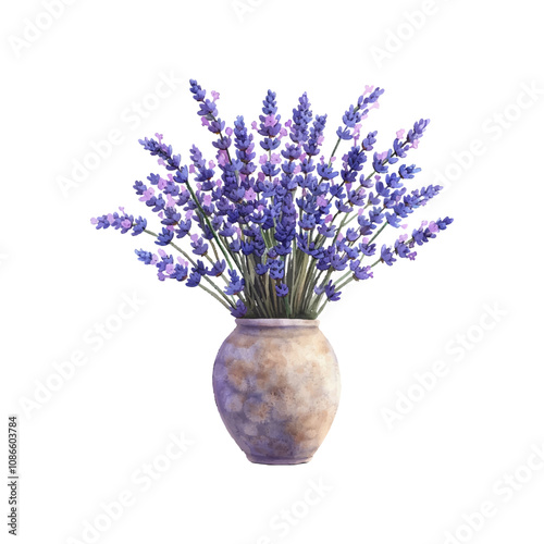 lavender in vase vector illustration in watercolor style