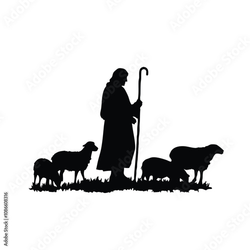 A man is leading a group of sheep. The man is holding a staff