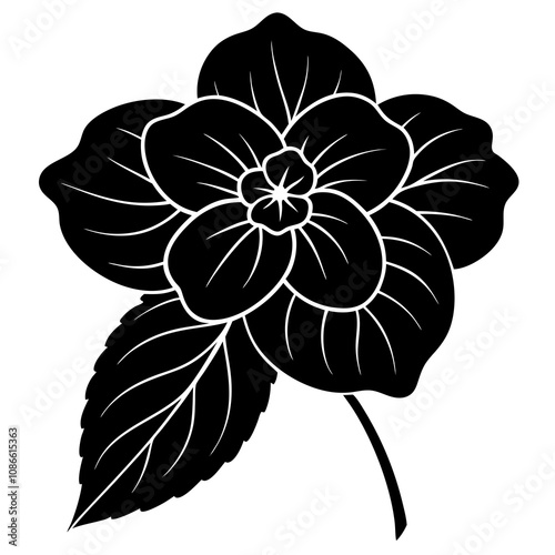 black and white flower