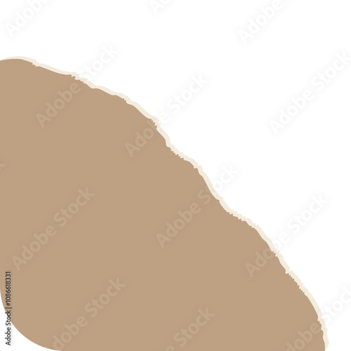 torn paper vector illustration