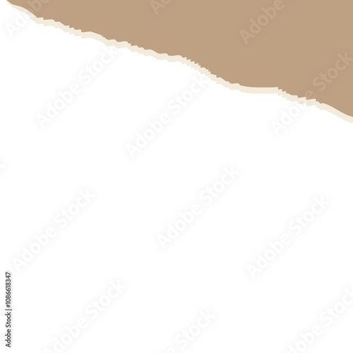 torn paper vector illustration