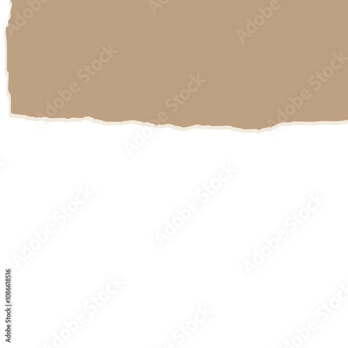 torn paper vector illustration