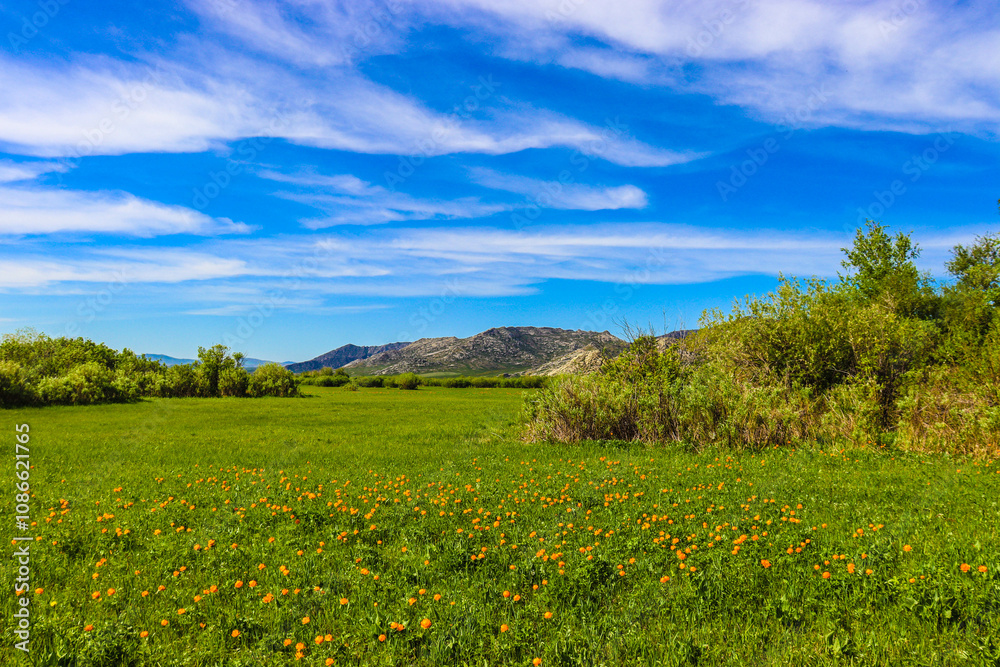 Nature. Beautiful mountains of Kazakhstan Nature. Beautiful mountains of Kazakhstan
