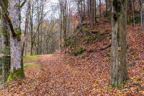 Impressionen Bilder aus dem Elbsandsteingebirge Hohnstein photo