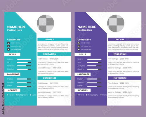  Professional cv or curriculum vitae template 