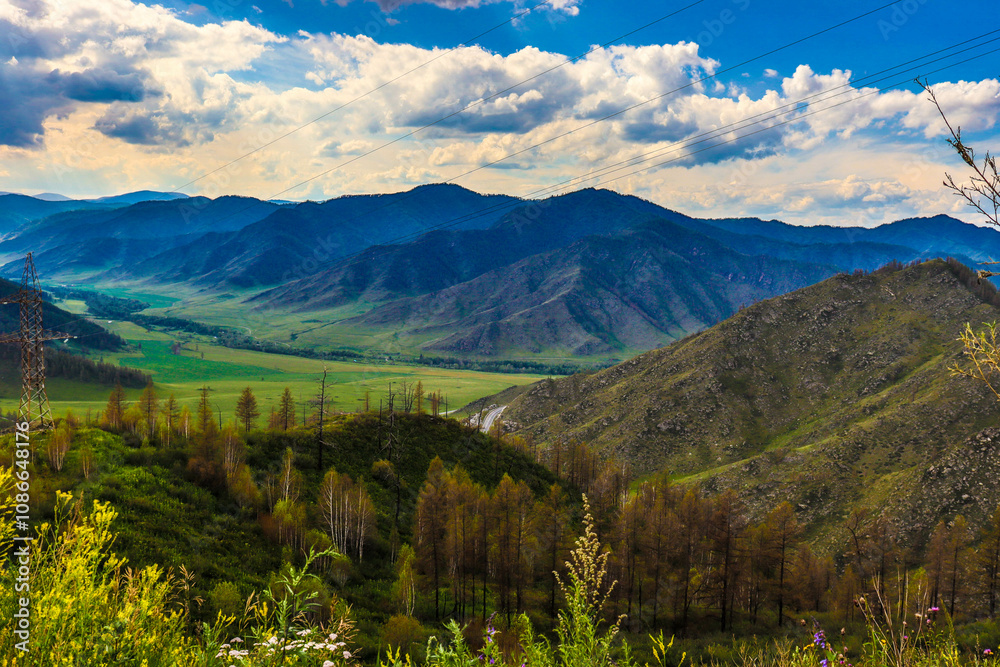 Nature. Altai Mountains
