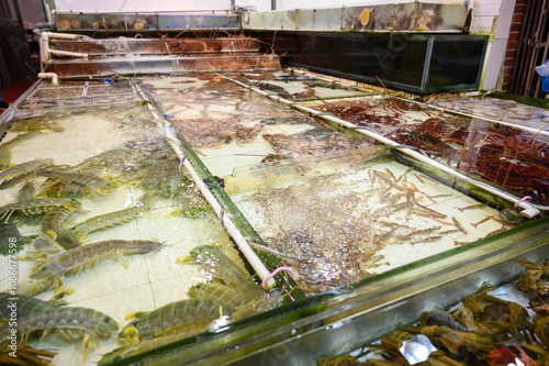 Photography Various types of fresh seafood in the Hong Kong market