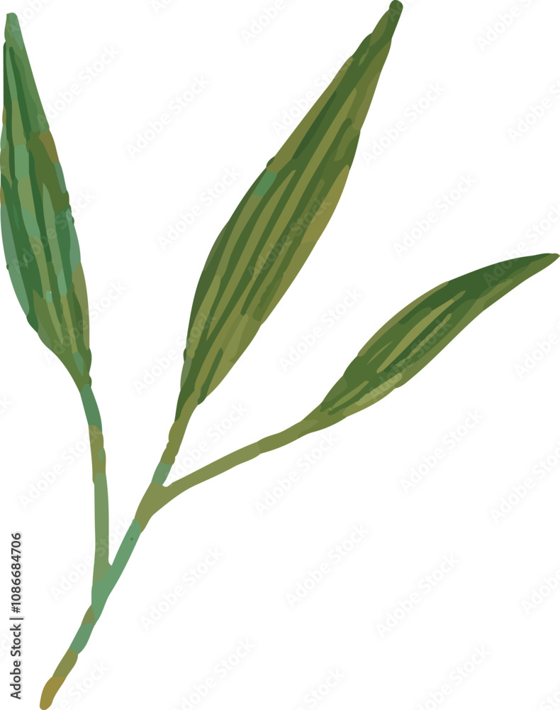 colorful illustration of flower petals and leaves clip art for background, wallpaper design