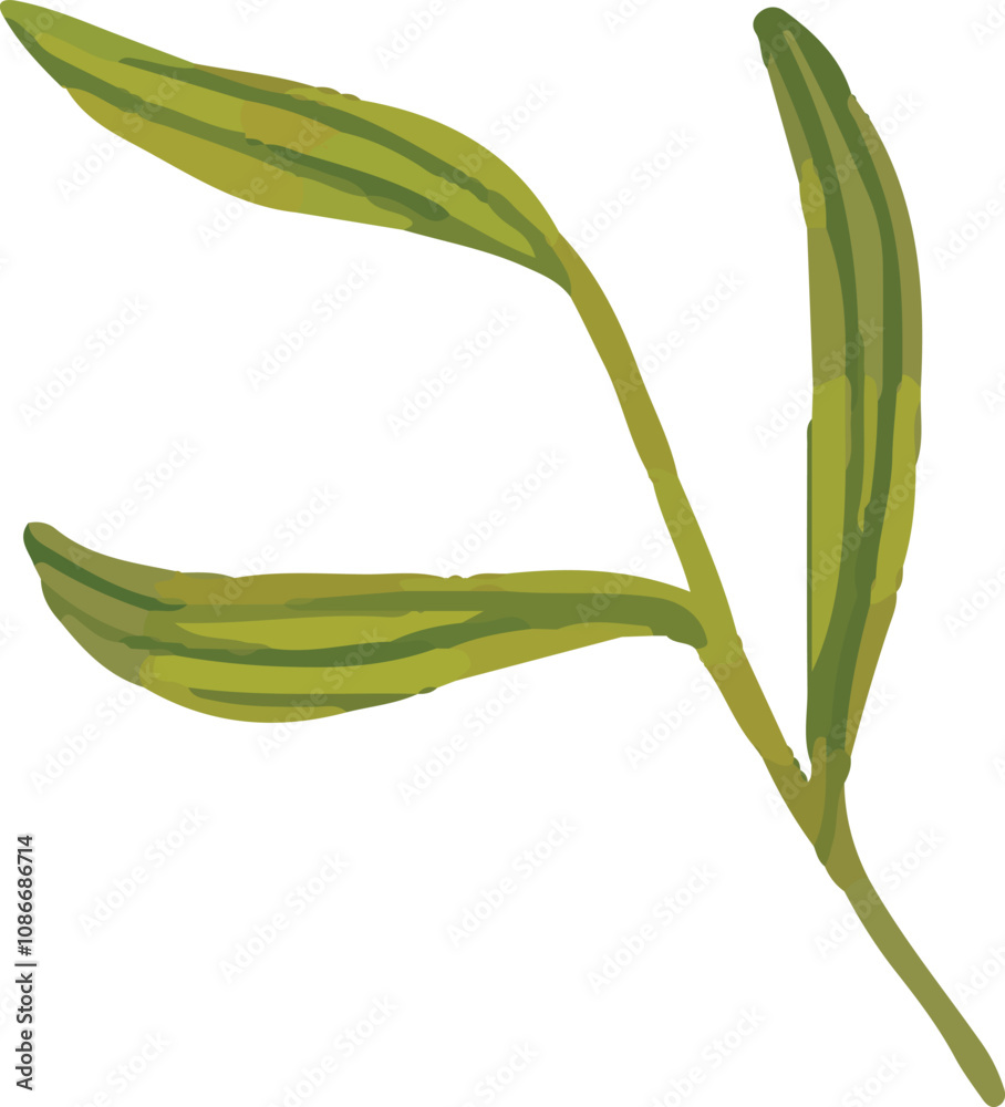 Fototapeta premium colorful illustration of flower petals and leaves clip art for background, wallpaper design