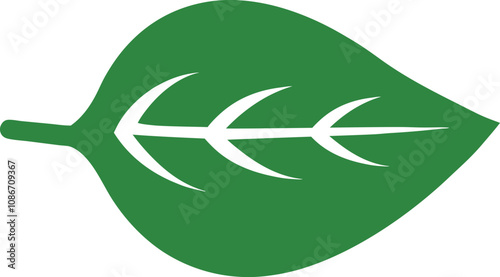 Green Leaf Color Vector Design