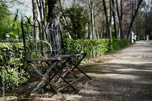 Fototapeta Naklejka Na Ścianę i Meble -  Rustic iron bench in a tranquil park setting.