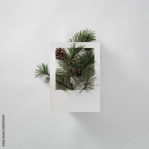 Pine branches and pinecones are artfully arranged within a white rectangular frame against a plain white backdrop