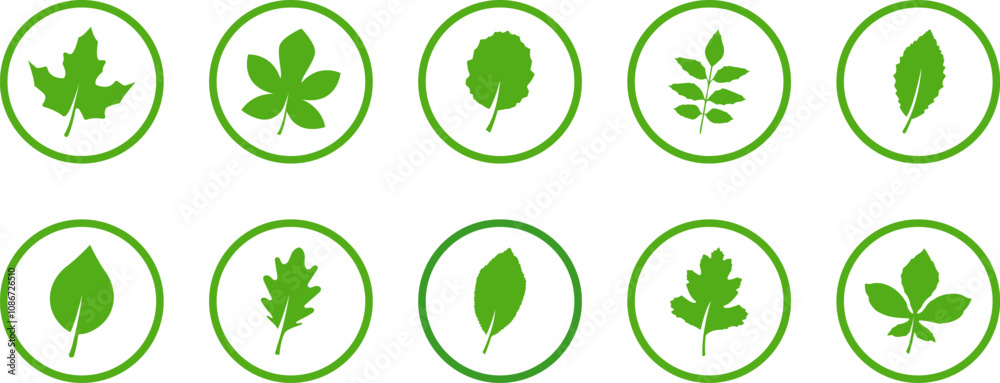 Leaf icon. Set of green leafs icons. Eco, bio, natural, vegan icon. Leaves of trees and plants. Leaves icon Collection. Vector illustration Leaf icon. Set of green leafs icons. Eco, bio, natural, vegan icon. Leaves of trees and plants. Leaves icon Collection. Vector illustration