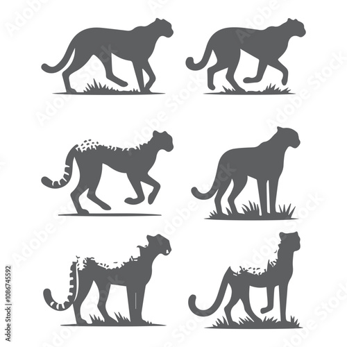 silhouettes of dogs