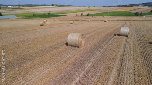 Aerial view of harvested golden field with straw bales, showcasing rural landscape and agricultural patterns