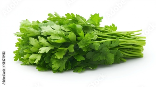 Fresh parsley bunch isolated. Cilantro leaves, raw garden parsley twigs pile, chervil sprig, corriender leaves, bunch of greenery on white background top view