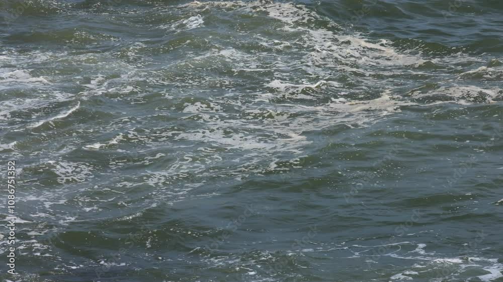 Waves in beach on sunny day, 4k resolution video Waves in beach on sunny day, 4k resolution video