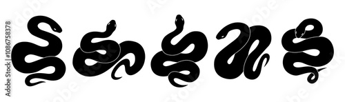 Set of snake silhouette on white background. Hand drawn vector illustration.