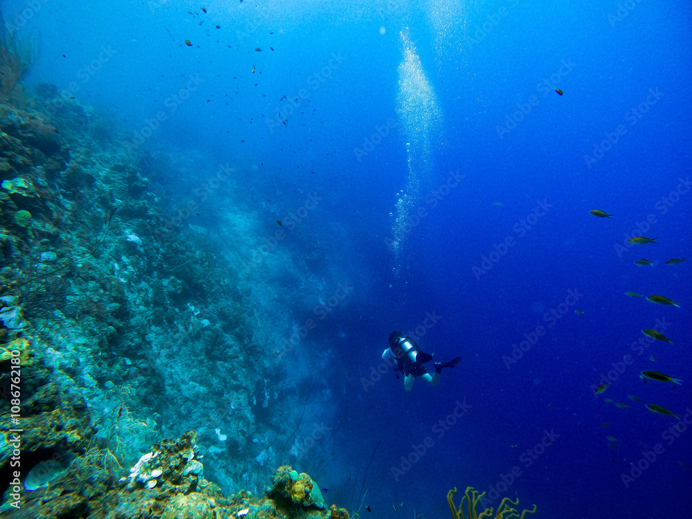 Fototapeta premium A Scuba diver on a large coral reef cliff in the blue waters of the Caribbean sea in Curacao. This group of fishes is better known as bait ball 