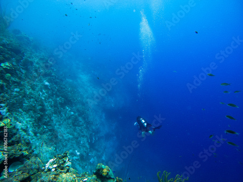 A Scuba diver on a large coral reef cliff in the blue waters of the Caribbean sea in Curacao. This group of fishes is better known as bait ball 