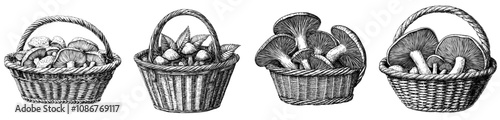 Insect food, fall harvest, woody fungi in a basket. Flat modern illustration in black and white of autumn mushrooms on a white background.