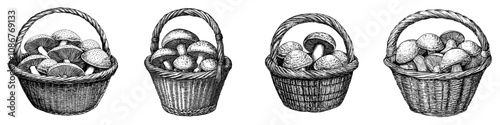 In the fall, mushrooms grow in a wicker basket. Forest food, harvest. Picked collected fungi. Organic fungi. Seasonal eating. Flat graphic modern illustration isolated on white background.