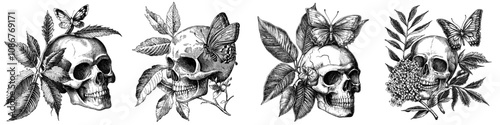 Skull with butterfly and leaf. Retro skull head bone, tattoo design. Hand-drawn engraved modern illustration, spooky creepy dead face. Outlined hand-drawn engraved modern illustration isolated on