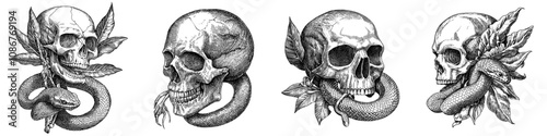 An antique skull with a serpent. An outline tattoo drawn in ink on a skeleton head bone with a snake entwined into it. A haunting tattoo connected with contours engraved by an ink pen. An isolated