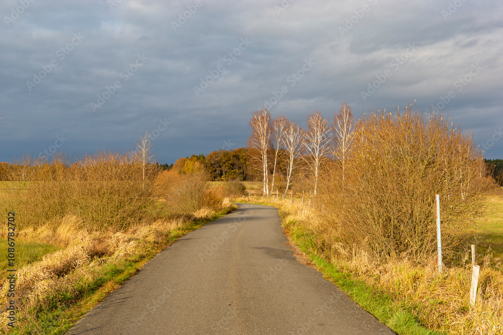 An asphalt road through autumn fields leading towards a forest. Late autumn in the Czech Republic.