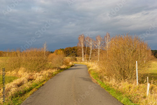 Obraz na płótnie An asphalt road through autumn fields leading towards a forest. Late autumn in the Czech Republic. w salonie