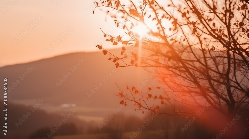 Sunset Silhouette Branches Leaves Landscape Sunset Silhouette Branches Leaves Landscape