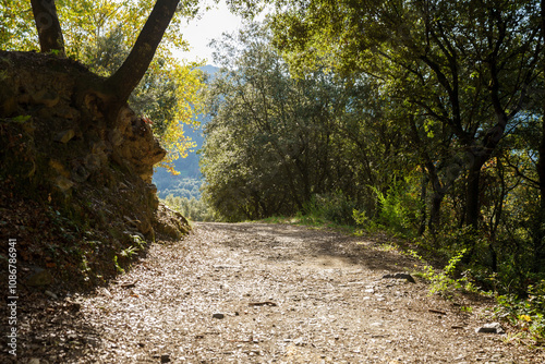 Empty pathway photo