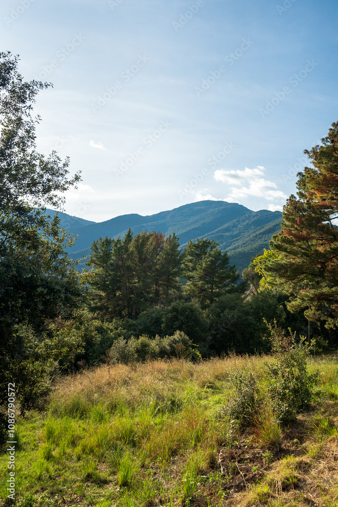 Autumn trees and hills in Fall Autumn trees and hills in Fall