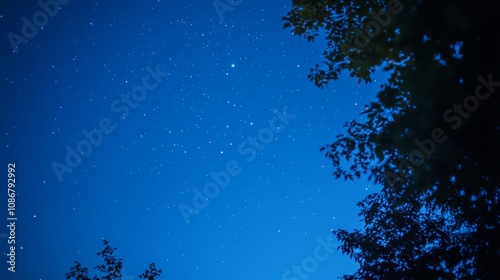 Starry Night Sky with Silhouetted Trees