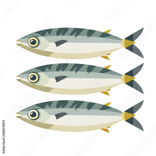 Illustration of Simple flat 2D icon sardines fish isolated on a transparent background, vector, flat design, animation design, vector, flat design, animation