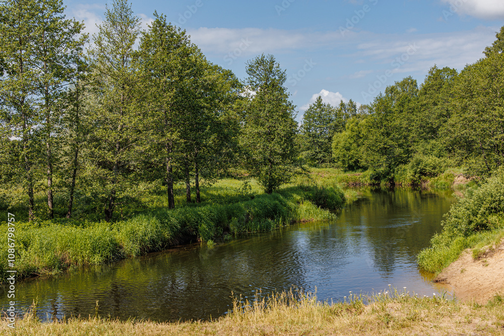 Whispers of the Wilderness: A Serene River Meanders Through Lush Green Canopies, Embracing Nature's Tranquility and Harmony. Whispers of the Wilderness: A Serene River Meanders Through Lush Green Canopies, Embracing Nature's Tranquility and Harmony.