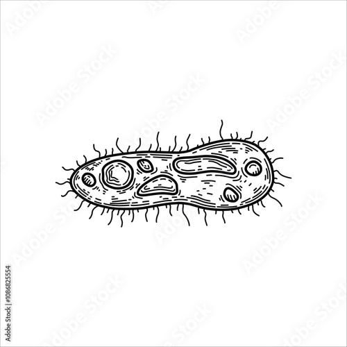 Bacteria structure hand drawn illustration artwork