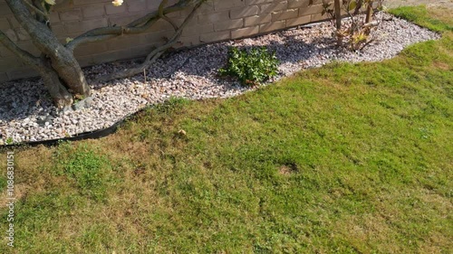 Close-up of lawn and gravel garden edge with decorative plant, ideal for landscaping and home garden design