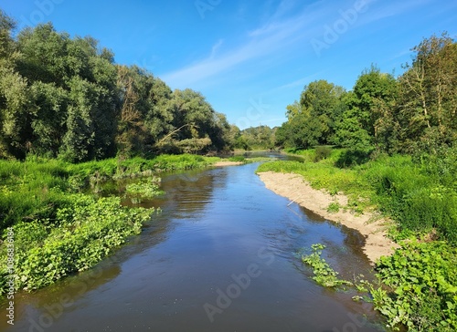 Boire de Loire, entre Nantes et Angers. France