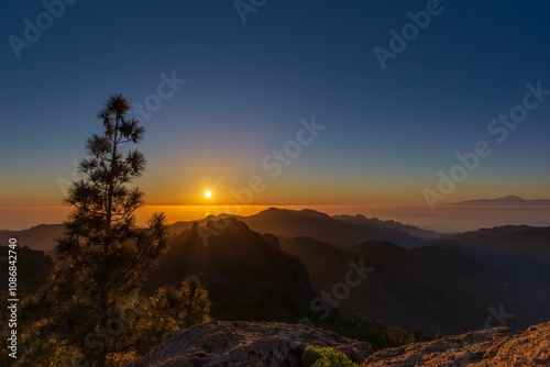 Slika na platnu Breathtaking mountain sunset with lone tree.