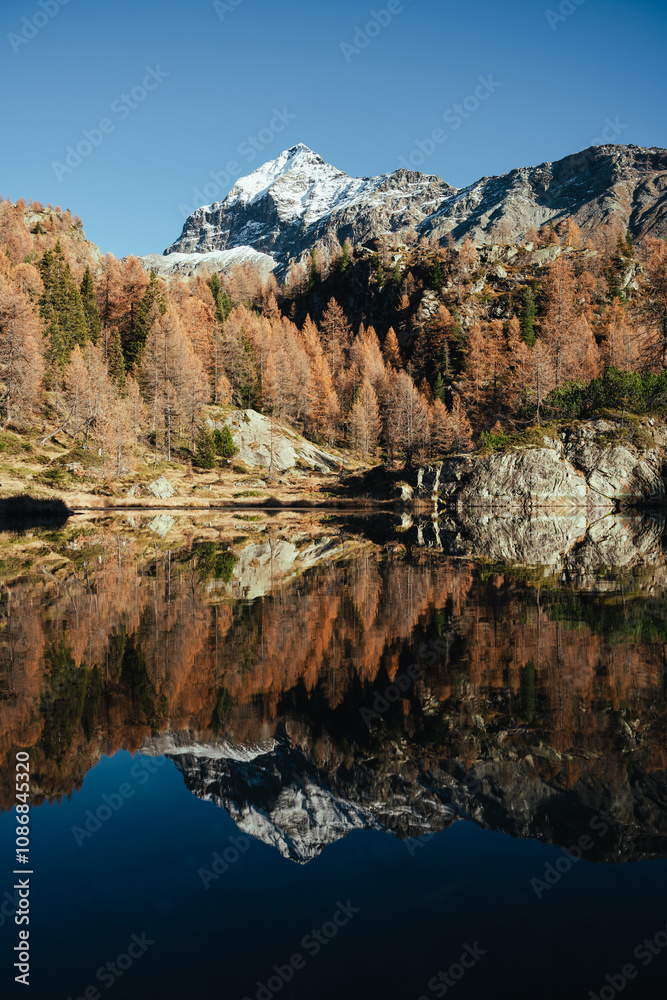 Fototapeta premium Beautiful reflections of orange larches in an alpine lake during a sunny autumn in the italian alps