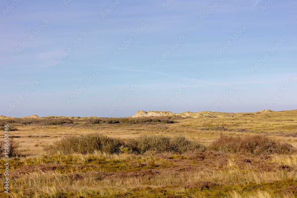 Nature reserve area on the seashore, Overview of the dunes with marram beach grass, Landscape view of sand dike on the Dutch Wadden sea Terschelling, An island in the northern, Friesland, Netherlands. Nature reserve area on the seashore, Overview of the dunes with marram beach grass, Landscape view of sand dike on the Dutch Wadden sea Terschelling, An island in the northern, Friesland, Netherlands.