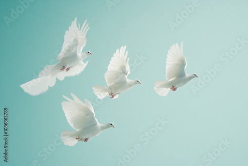 A photograph depicting white doves in flight