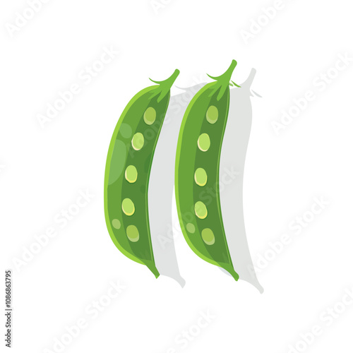 Simple flat 2D illustration of a snap pea isolated on a white background, vector 2D design, icon, flat 2d
